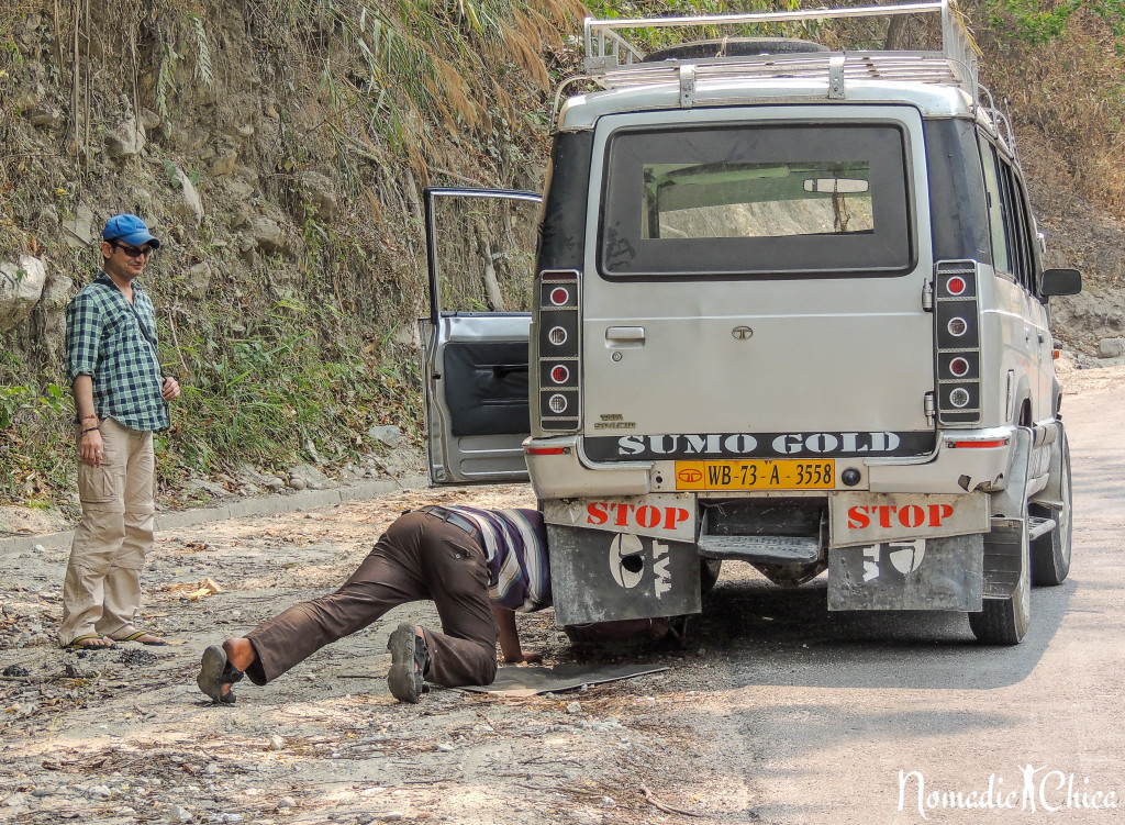 Darjeeling India-7894