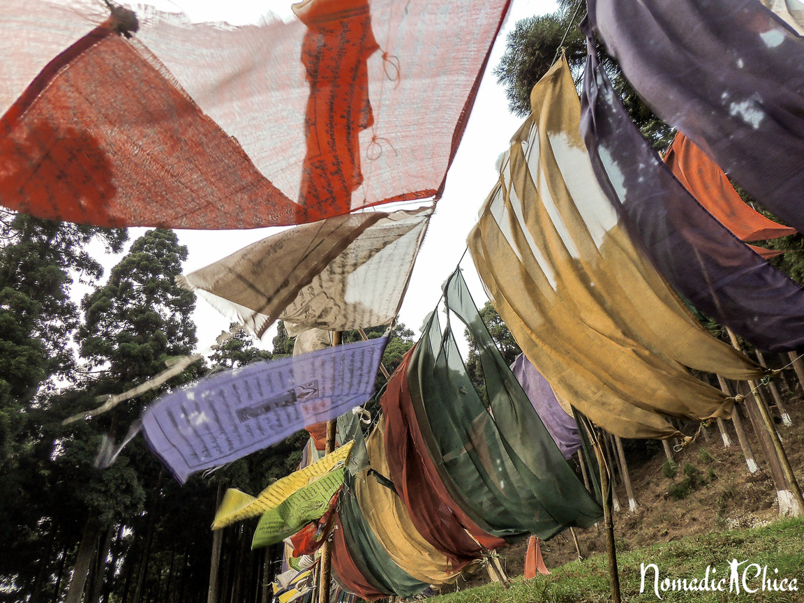 INDIA: Lamahatta paradise in the mountains, Darjeeling area