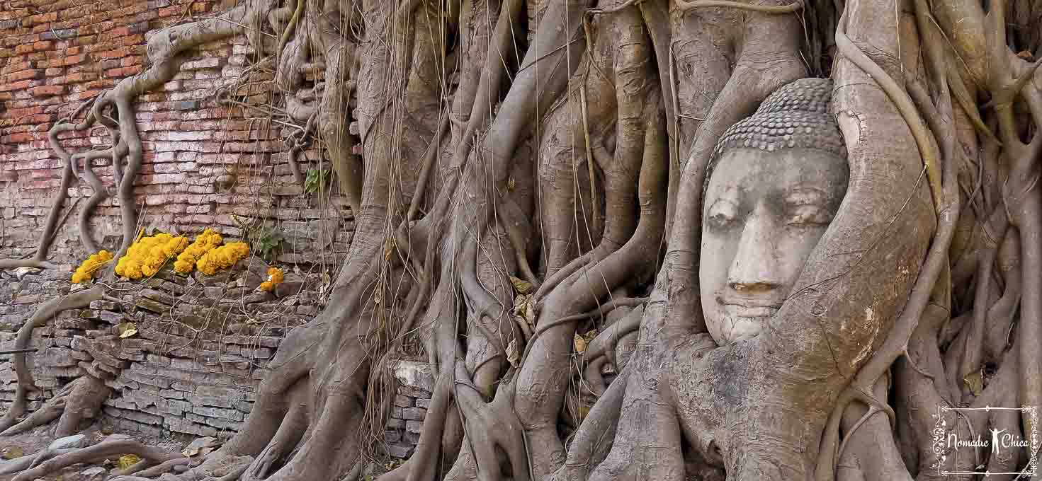 Ayutthaya best image Buda head