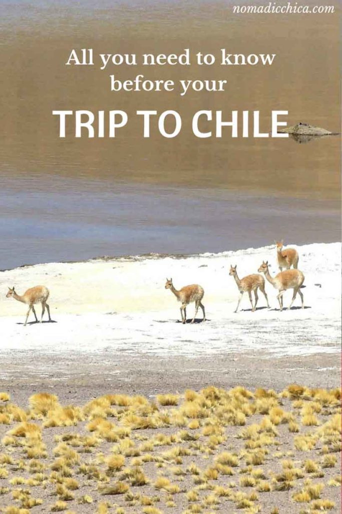 What to know before your first trip to Chile - The Nomadic Chica