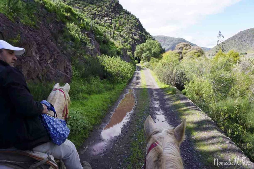 Casa Molle Villa & Golf Hotel Boutique Elqui Valley