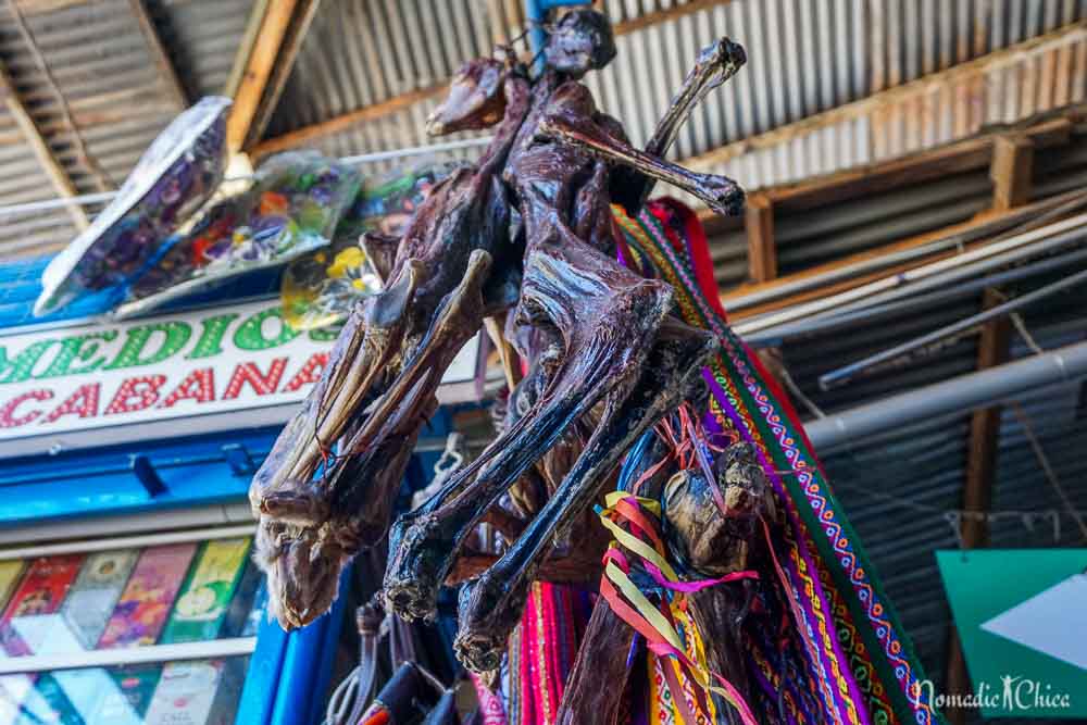 San Pedro Market Dried llamas Cusco Peru Machu Picchu nomadicchica.com