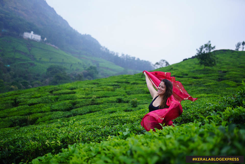 Visiting a Tea Factory in Munnar, India