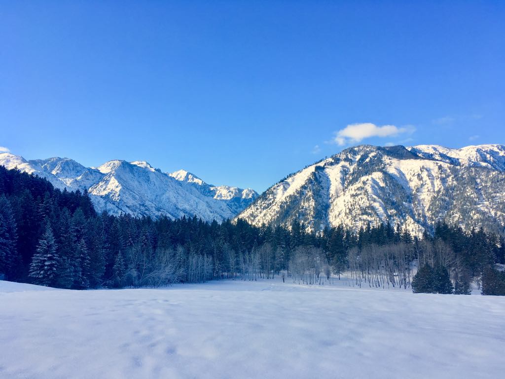 View from the deck of Mountain Home Lodge, Washington