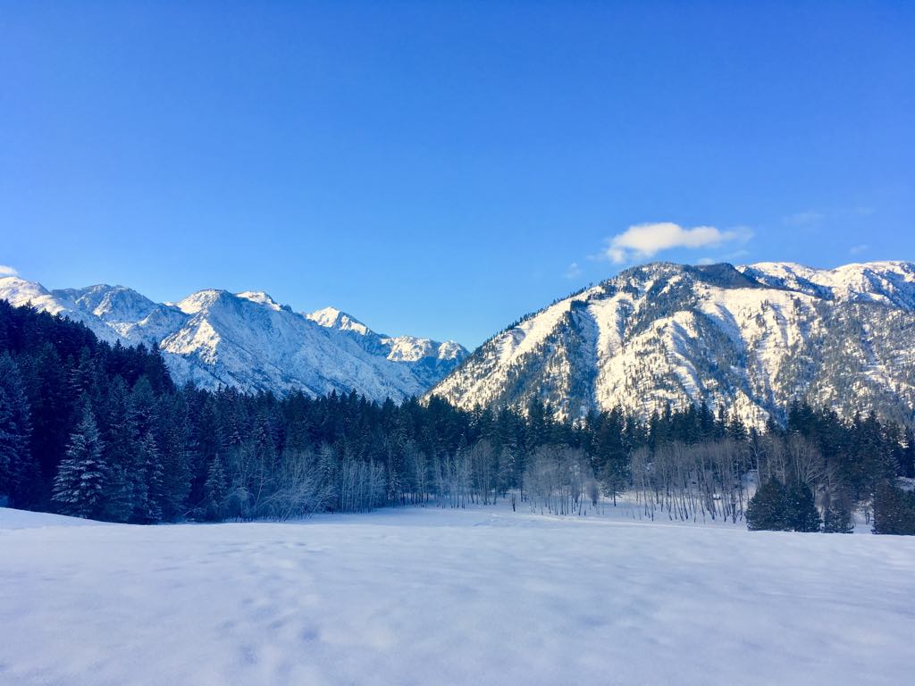 View from the deck of Mountain Home Lodge, Washington