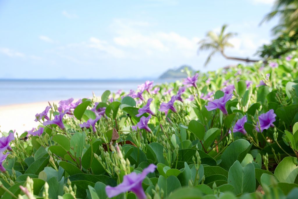 koh libong Thailand