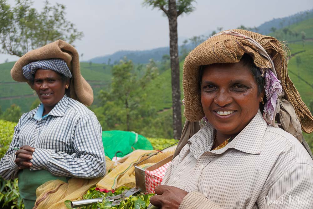 Munnar Tea plantation smiling worker KBE Kerala Blog Express the Trip of a Lifetime in India