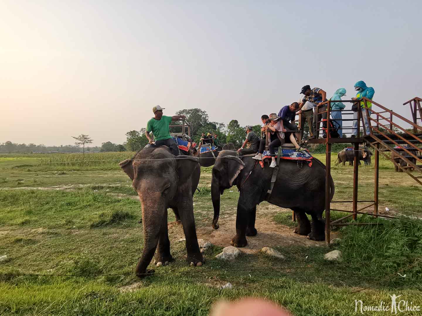 Elephant riding Chitwan National park Nepal