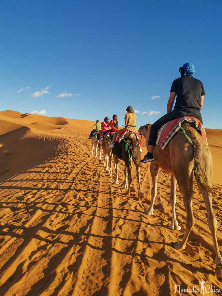 Camel Safari Sunset Morocco Luxury Camp Merzouga Sahara