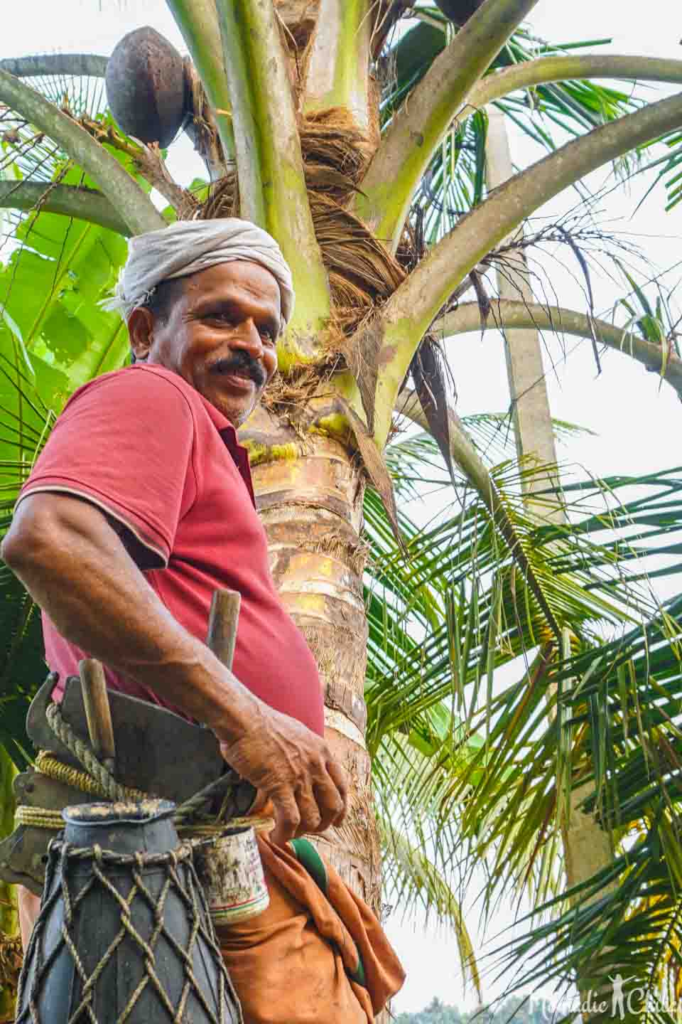 nature beauty essay in malayalam