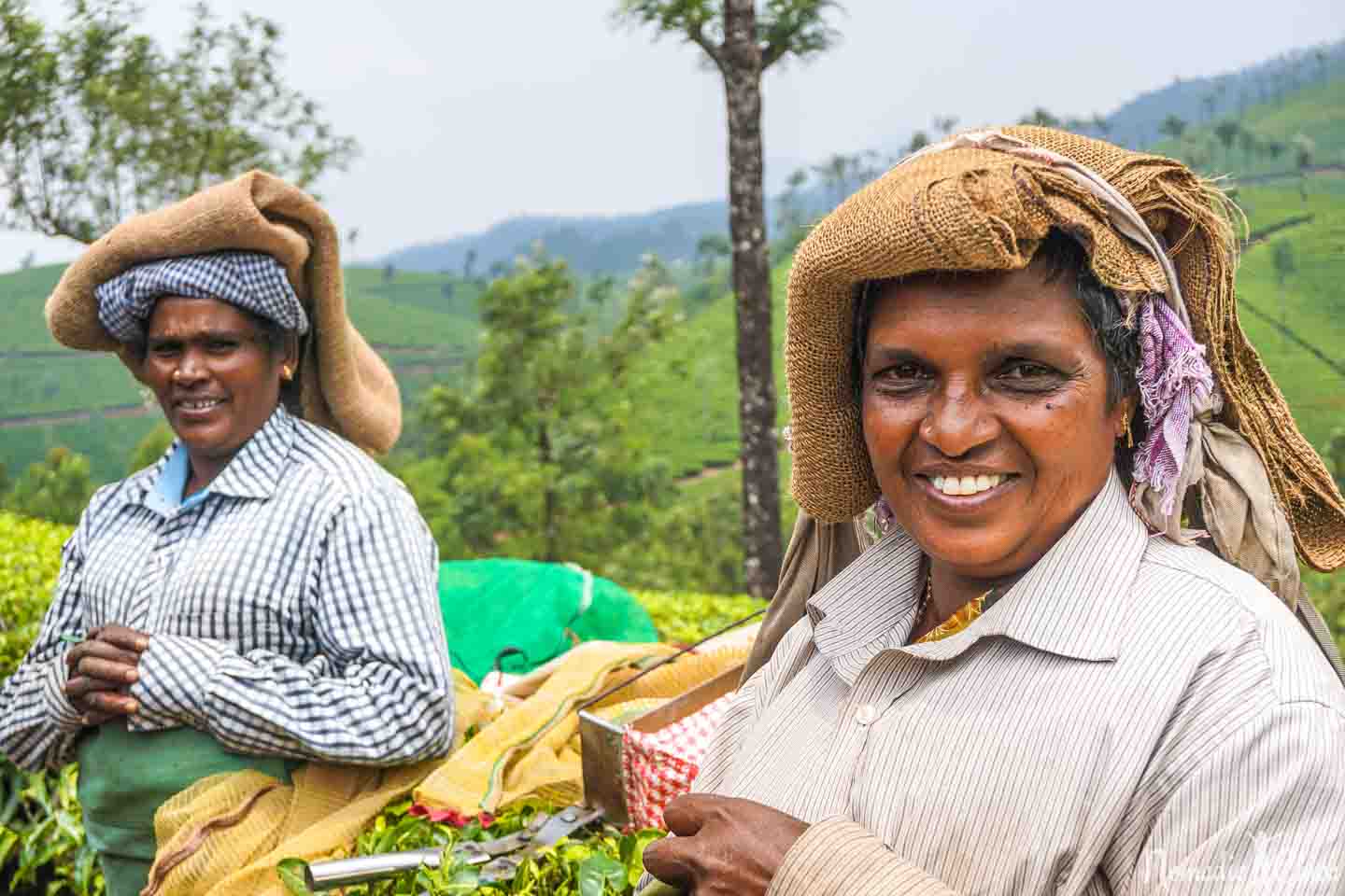 nature beauty essay in malayalam