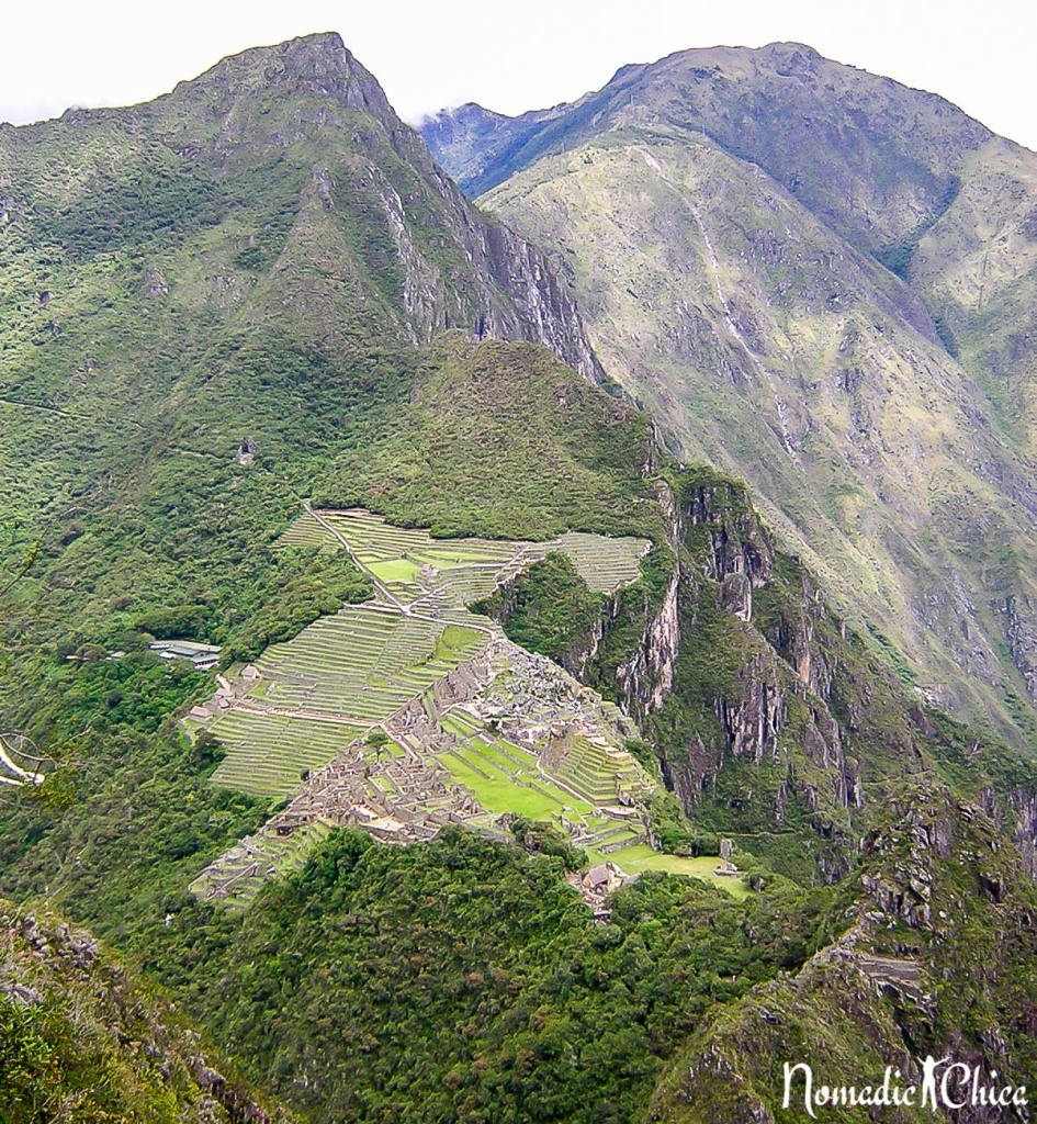 Machu Picchu-2331