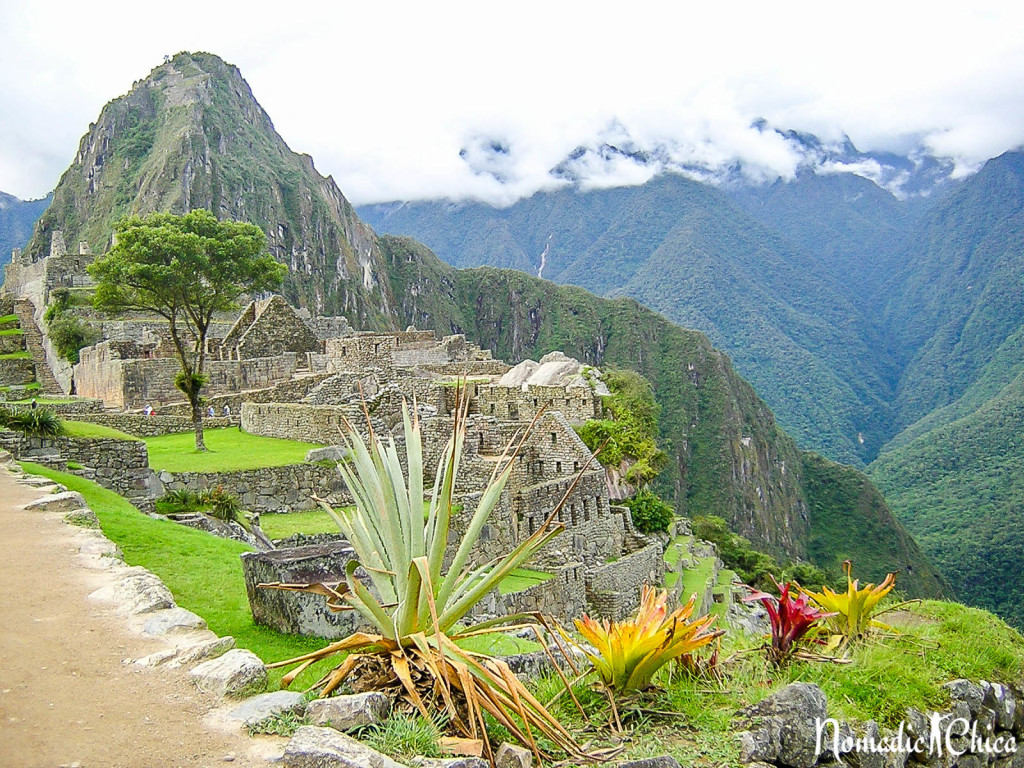 Machu Picchu-2413