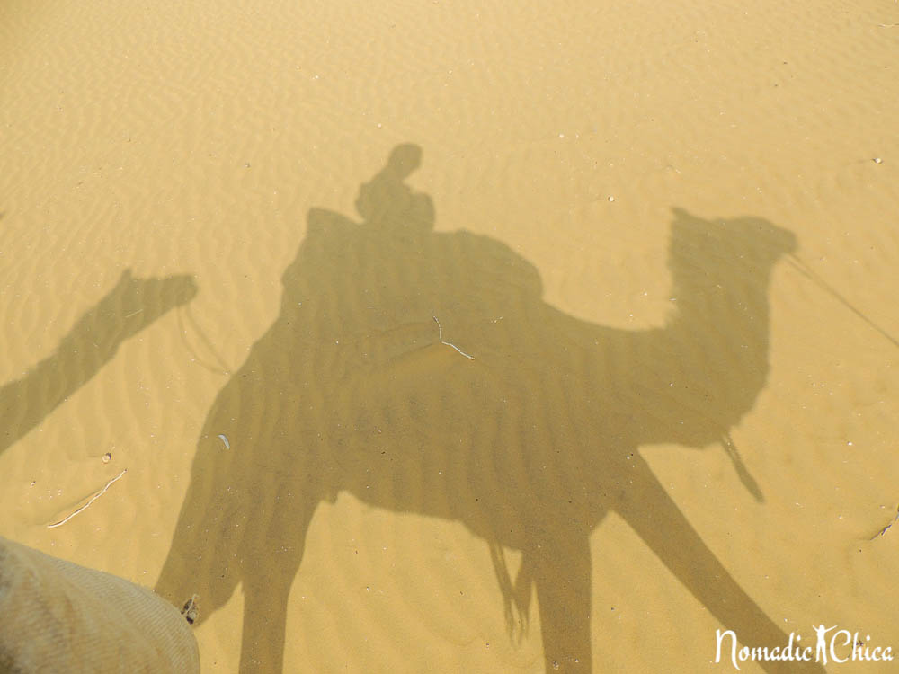 INDIA | Jaisalmer y un safari en camello