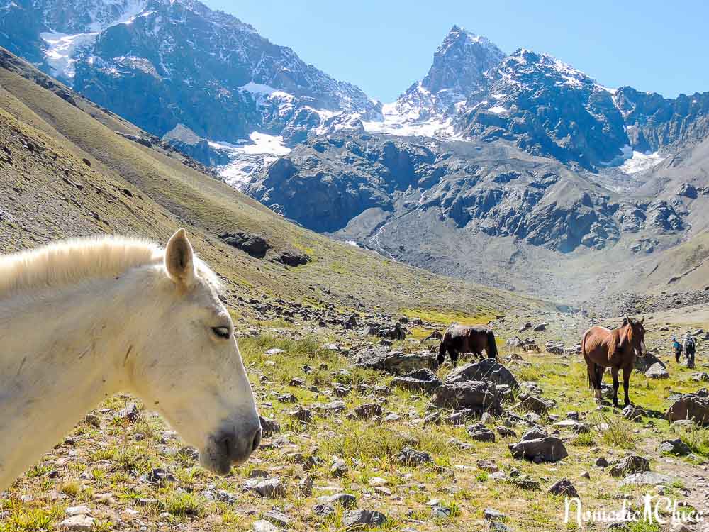 glaciar el morado