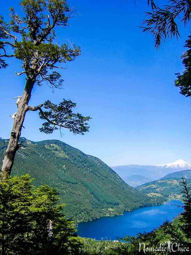 parque huerquehue chile