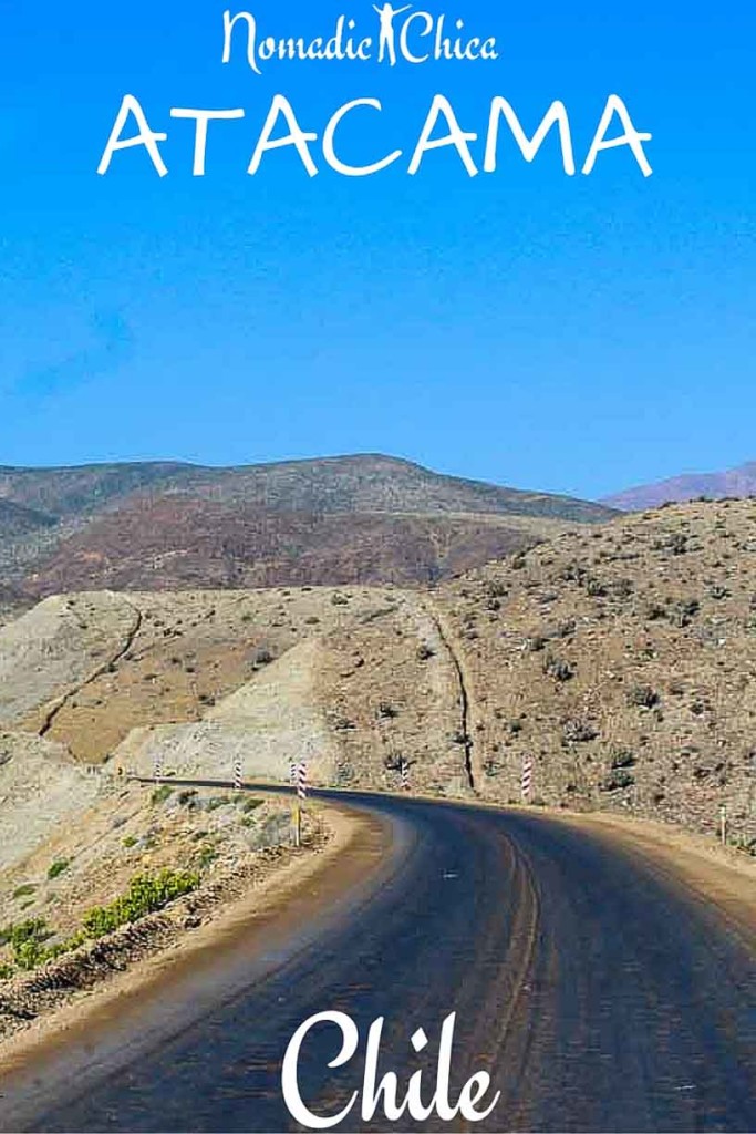 Desierto Florido Atacama Chile