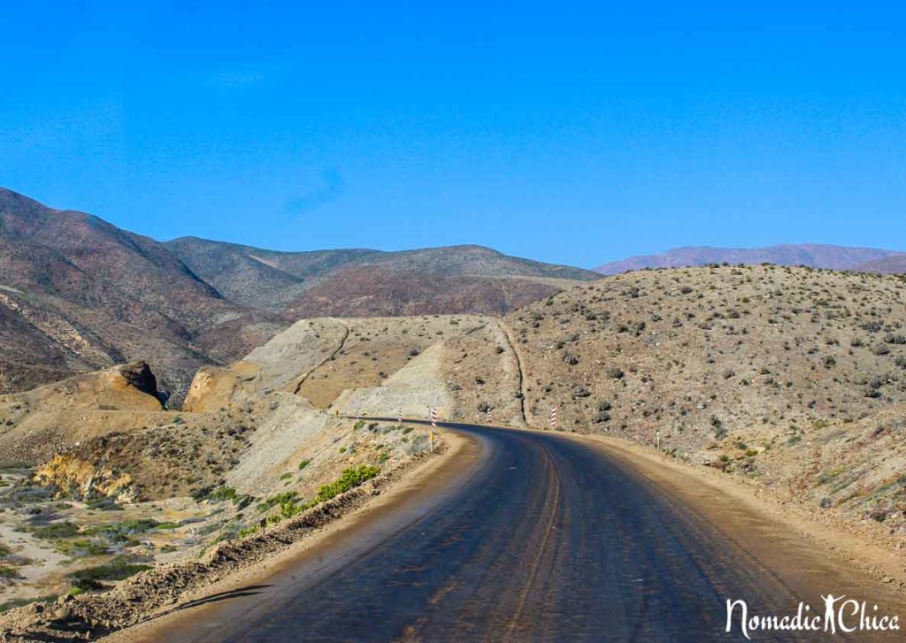 Desierto Florido Atacama Chile Vallenar Flowering Desert 