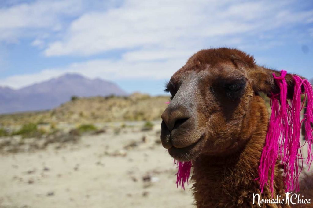 mal-de-altura-machu-picchu-peru-3