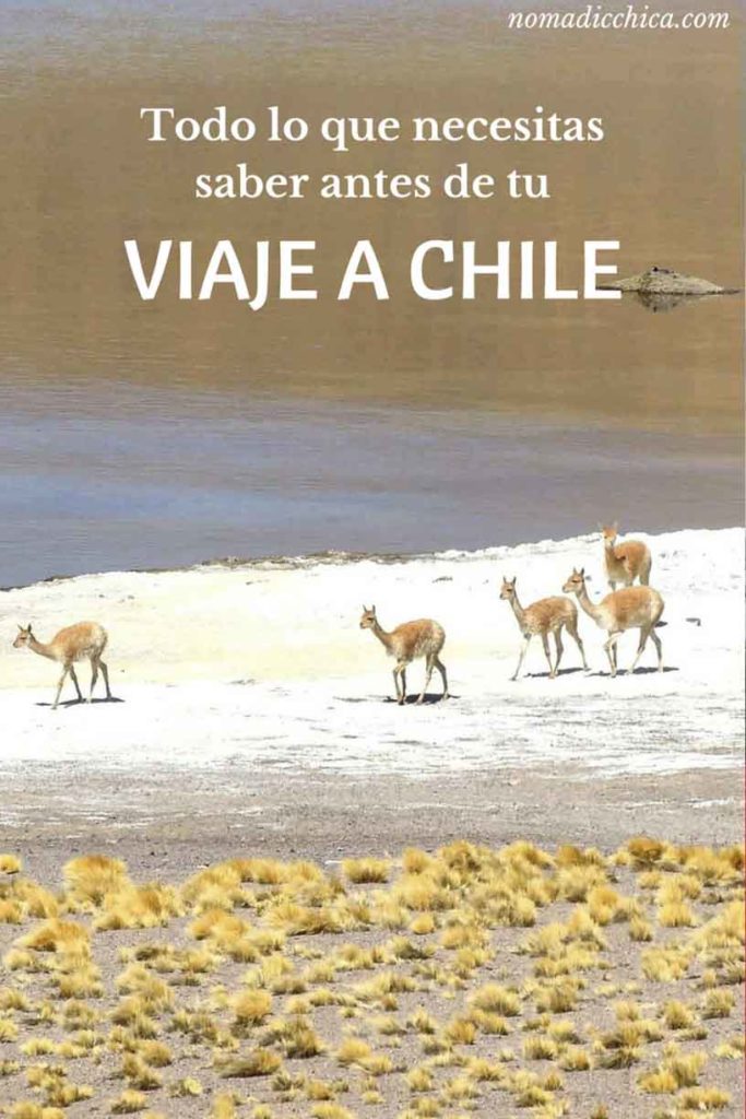 Todo lo que necesitas saber antes de tu viaje a Chile. Sudamérica.